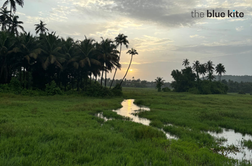 The Ultimate Itinerary for Things To Do In July In Goa