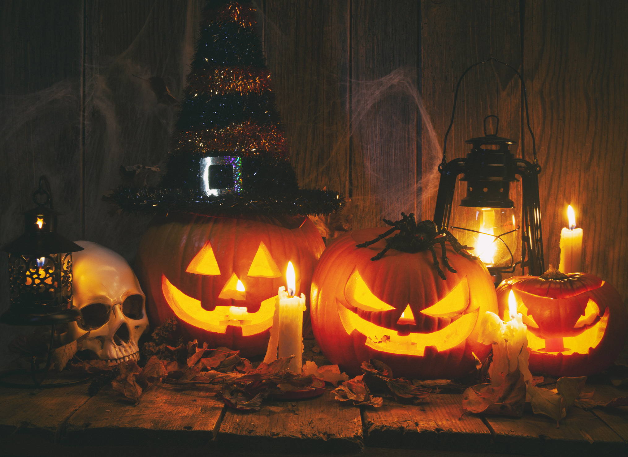 Halloween 2025 in Goa — The Season Turns, and the Coast Comes Alive