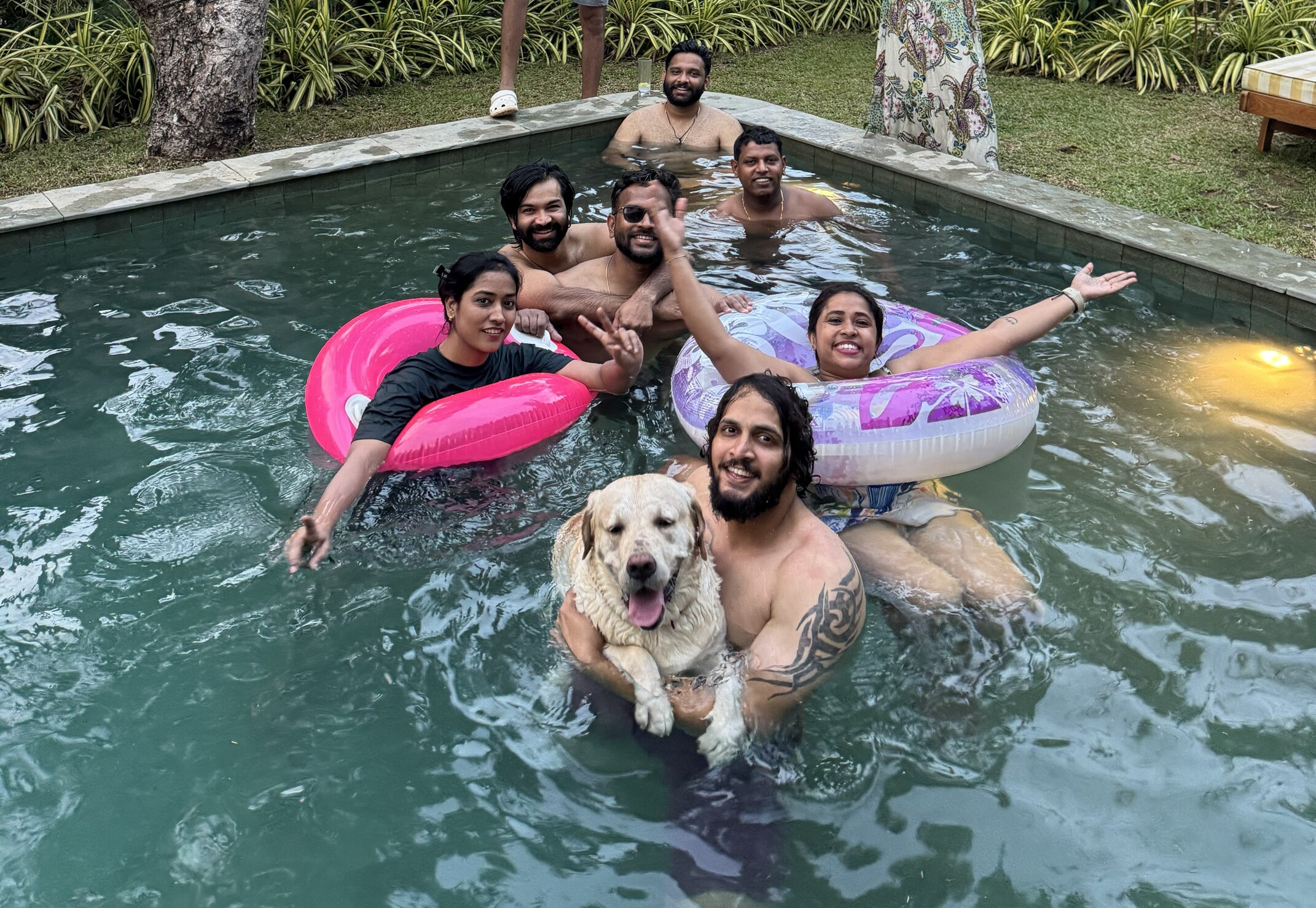 Why Travelling with Pets to Goa Works So Well in Winter